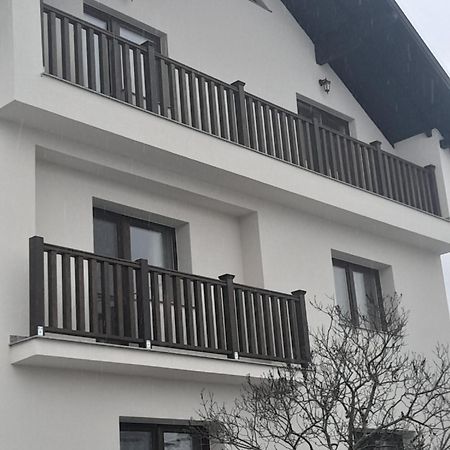 Hotel Casa Carmen Poienile Izei Exteriér fotografie
